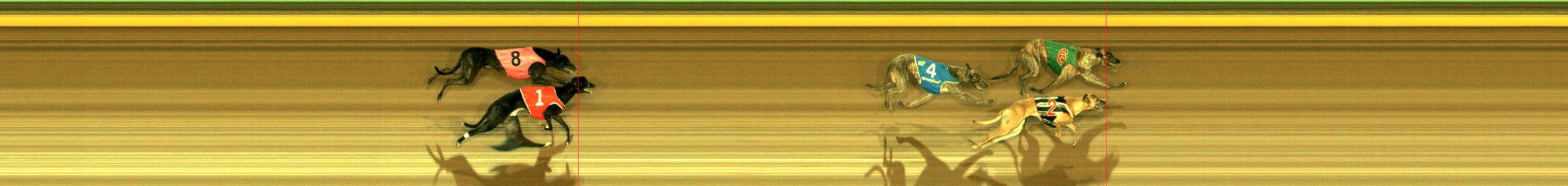 Race result finish photo